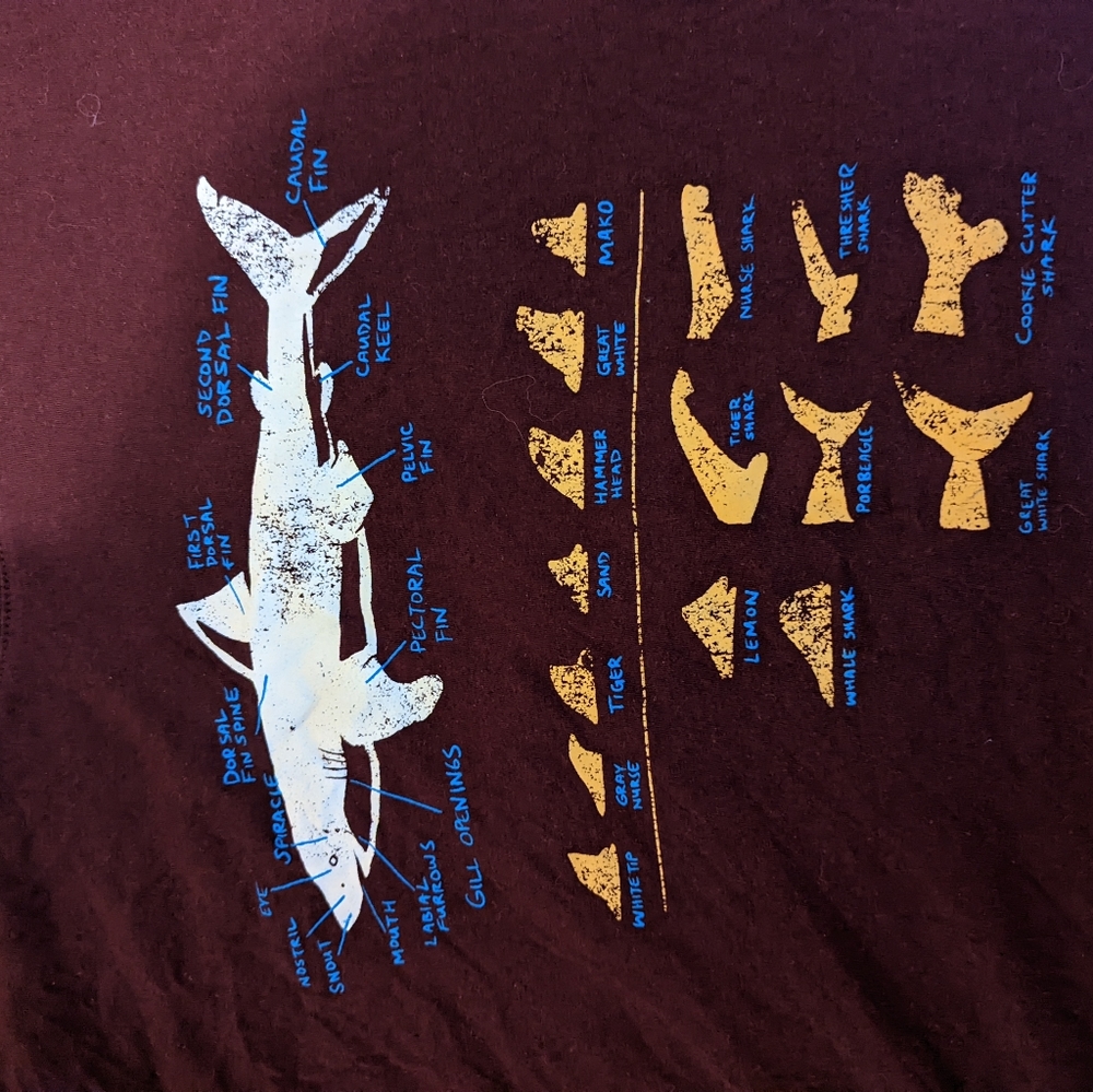 Shirts - Picture 2 of 2